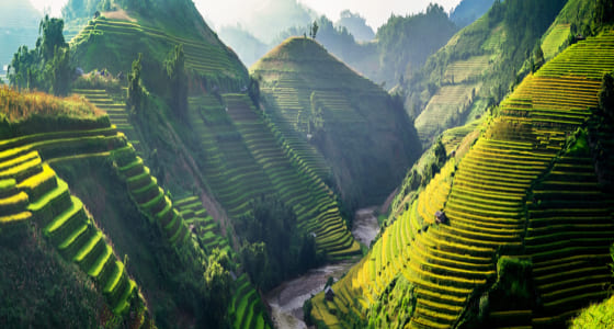 Vietnam